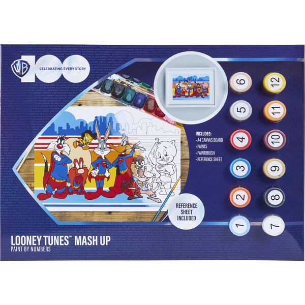 Warner Bros. Paint by Numbers A4 Each