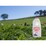 Norco Skim Milk 2l
