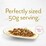 Fancy Feast Petite Delights Salmon & Tuna Wet Cat Food 60g x 6 pack