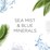Air Wick Essential Oils Sea Mist Plug-In Diffuser Refill 2 pack