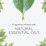Air Wick Essential Oils Sea Mist Plug-In Diffuser Refill 2 pack