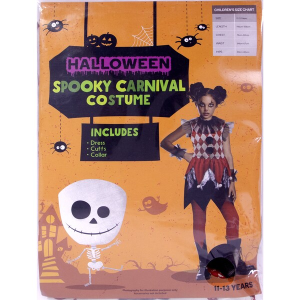 Halloween Dress Up Costume Child Spooky Carnival Size 11-13 Years Each