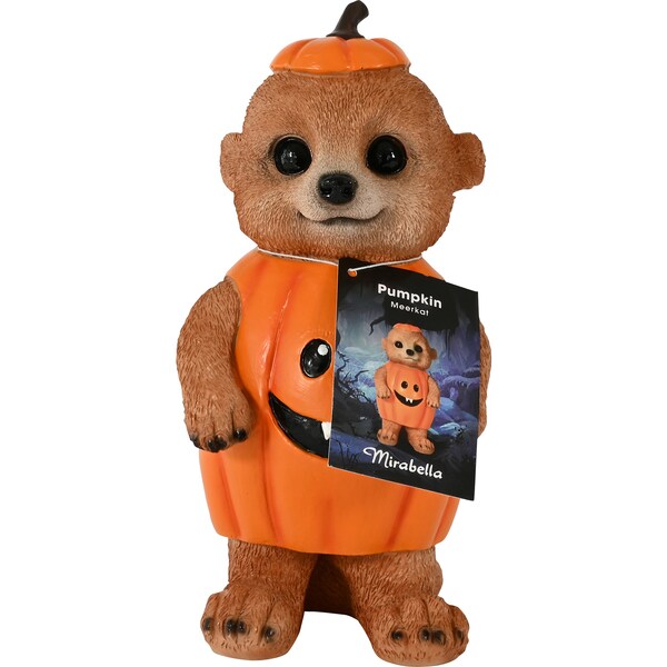 Mirabella Halloween Meerkat Pumpkin Each