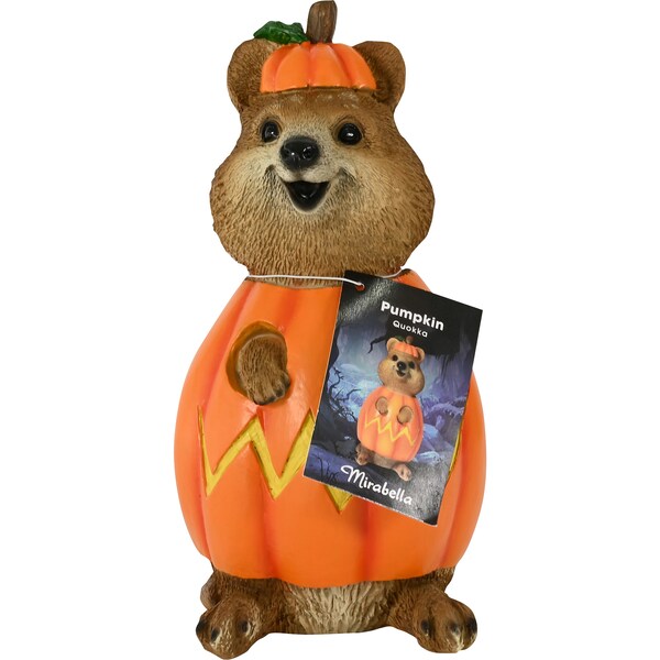 Mirabella Halloween Quokka Pumpkin Each