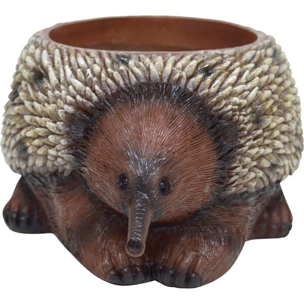 Garden Dream Pot Planter Echidna each