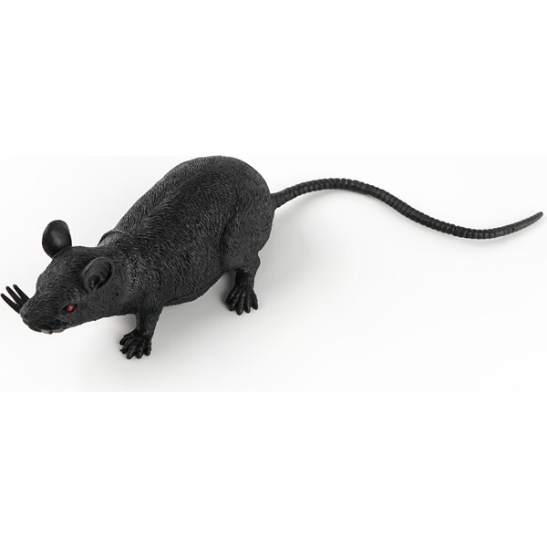 Halloween Animal Black Rat Each
