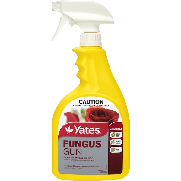Yates Fungus Gun Each