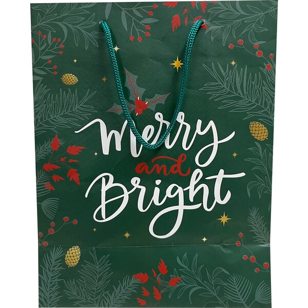 Christmas Gift Bag Medium Green Each