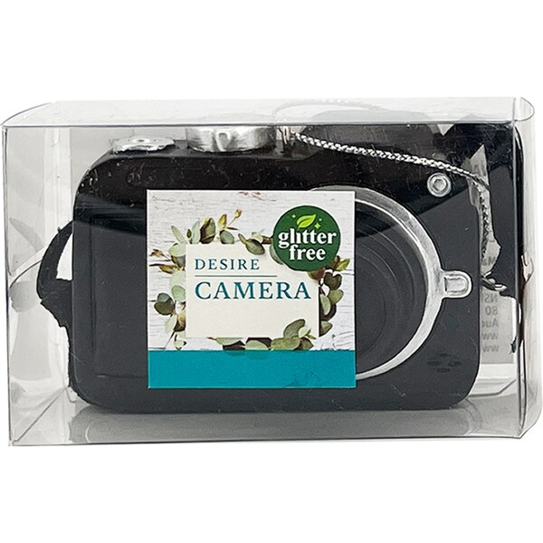 Christmas Decoration Camera Silver Each