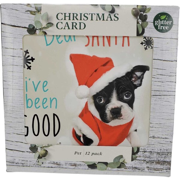 Christmas Cards Square Dog 12 Pack