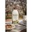 Mandole Orchard Unsweetened Activated Almond Milk 1l