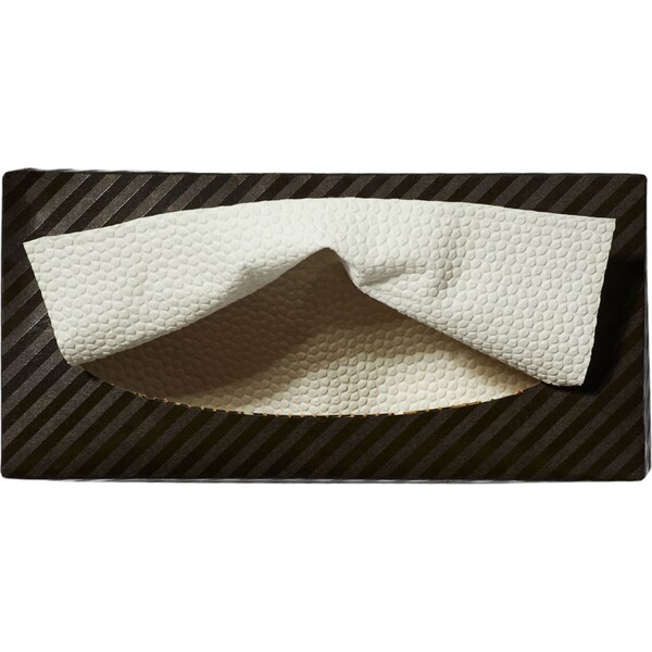 No Issues Eco Friendly Bamboo 2 Ply Towels 100 Pack
