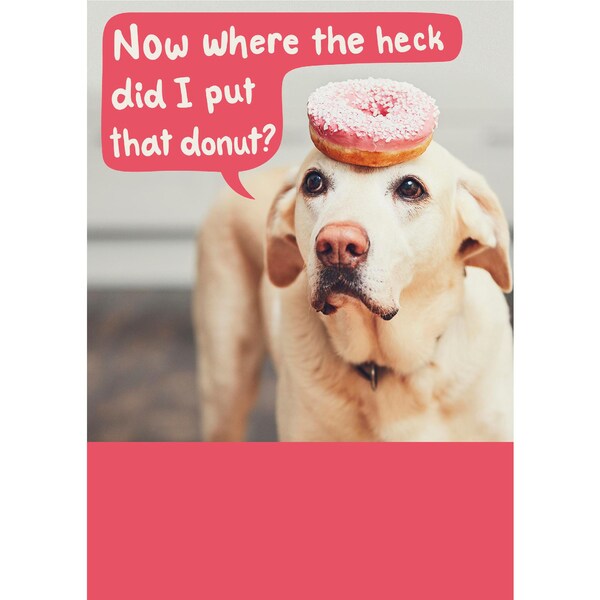 John Sands Greeting Card Happy Birthday Dog With Donut each