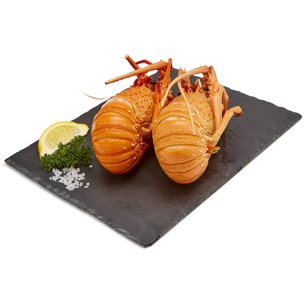 Fresh Rock Lobster Each