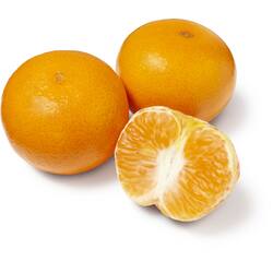 Mandarin Phoenix Each