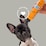 Rufus & Coco Dog Ear & Wound Care Liquid 150ml