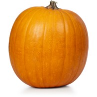Halloween Carving Pumpkin Whole