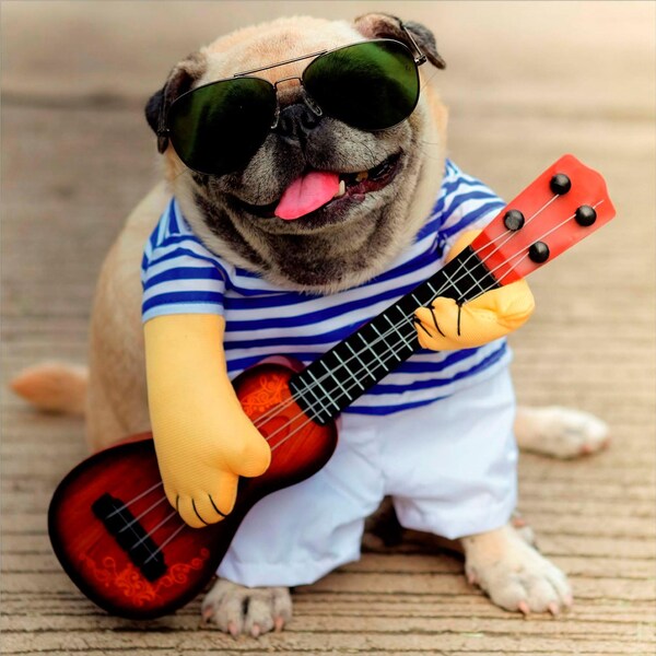 John Sands Greeting Card Pug With Guitar each