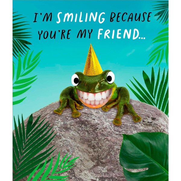 John Sands Greeting Card Friendship Smiling Frog each