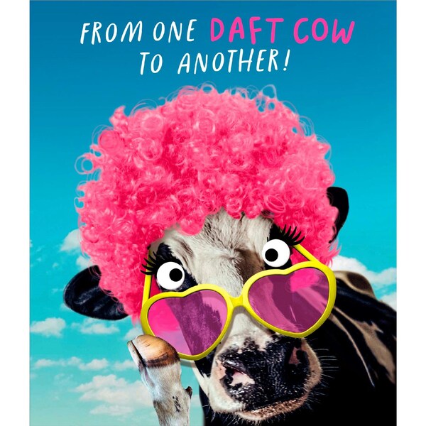 John Sands Birthday Card Daft Cow each