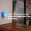 Raid Flying Insect Light Trap Plug In Starter Pack each