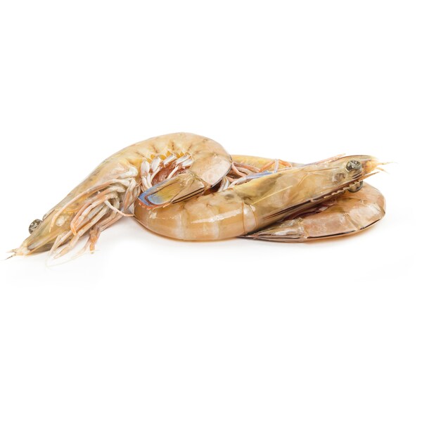 Frozen Cooked Extra Large Tiger Prawn Carton 5kg
