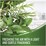 Dettol Glen 20 Disinfectant Spray Country Scent 175g