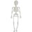 Halloween Small Hanging Skeleton Glow In The Dark each
