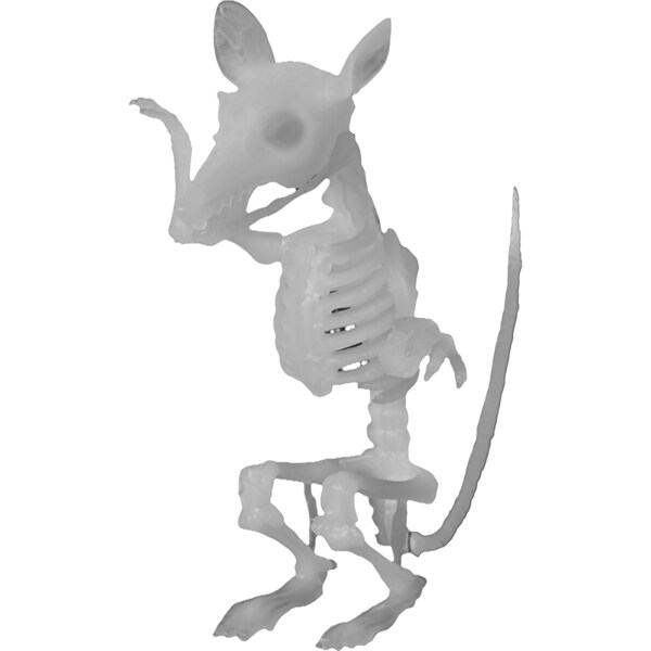Mirabella Skeleton Rat Glow In The Dark each