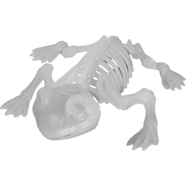 Mirabella Skeleton Frog Glow In The Dark each