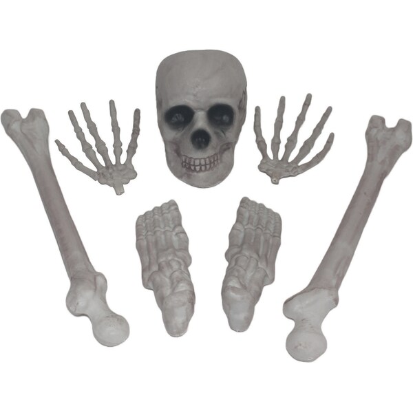 Halloween Bag Of Bones each
