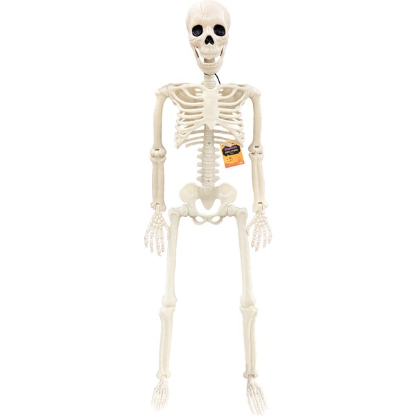 Halloween Skeleton Large each