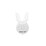 White Glo Accelerator Kit each