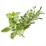 MasterFoods Mixed Herb Blend 13g