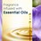 Glade Tranquil Lavender Scented Oil Refill 2 pack