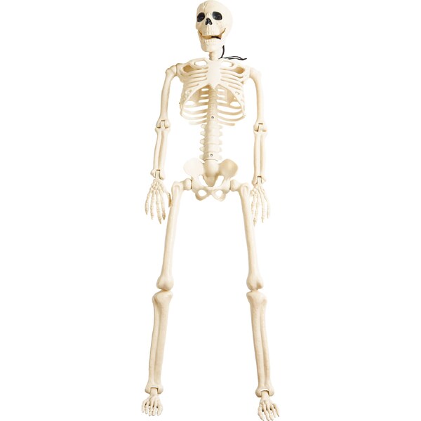 Halloween Skeleton Large Hanging Decoration each