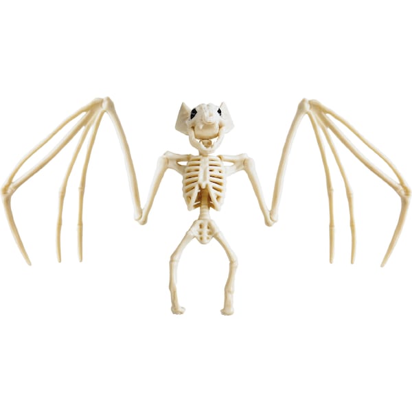 Halloween Bat Small Skeleton Decoration each