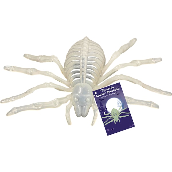 Mirabella Spider Skeleton Glow In The Dark Decoration each