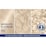 Schwarzkopf Live Colour Permanent Intense Bleach Absolute Platinum 00A each