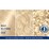Schwarzkopf Live Colour Permanent Intense Bleach Max Blonde 00B each