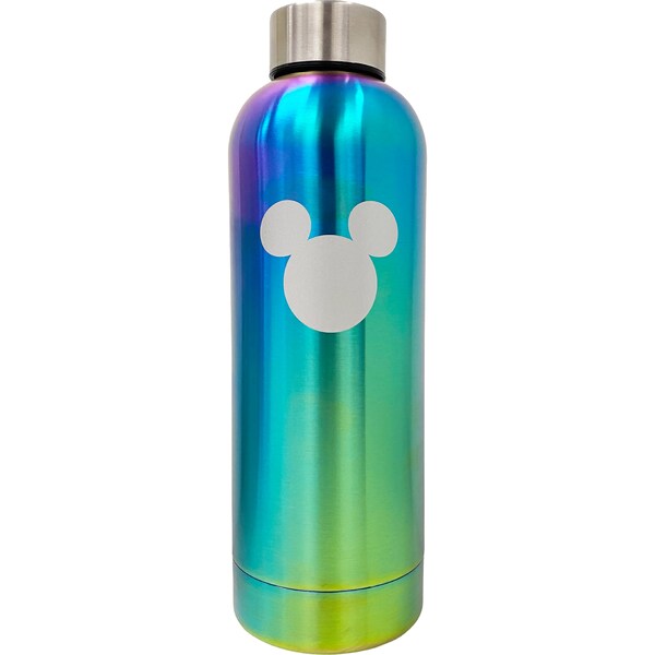Disney Stainless Steel Bottle each
