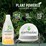 Earthwise Dishwashing Liquid Lemon 500mL