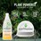 Earthwise Dishwashing Liquid Lemon 900mL