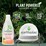 Earthwise Dishwashing Liquid Orange & Eucalyptus 500mL