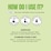 Lucent Globe Multipurpose Cleaner Sheets Tea Tree & Lime 2 pack