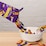Cadbury Favourites Chocolate Box 265g