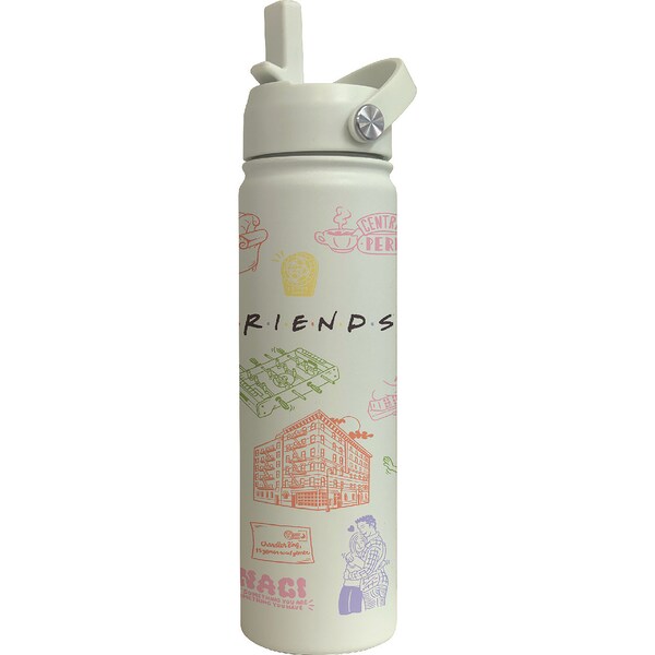 Christmas Stainless Steel Bottle Friends each