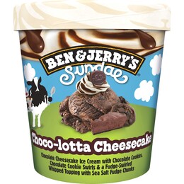 Ben & Jerry's Sundae Choco-lotta Cheesecake Tub 427mL – Woolworths