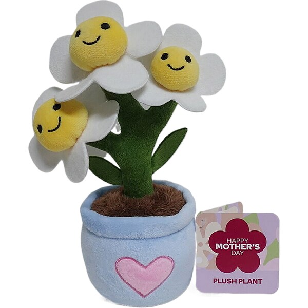 Mother's Day Plush Smiley Face Plant each