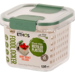 Urban Ethos Square Food Container With Berry Basket 530mL each – Woolworths